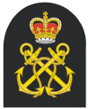 australia-navy-sleeve_03.gif