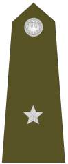 http://www.uniforminsignia.net/_p/poland-army-1940-1960_08.gif