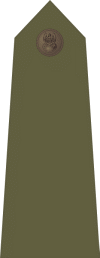 http://www.uniforminsignia.net/_p/poland-army-2004_01.gif