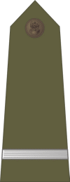 http://www.uniforminsignia.net/_p/poland-army-2004_02.gif