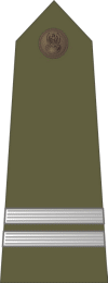 http://www.uniforminsignia.net/_p/poland-army-2004_03.gif
