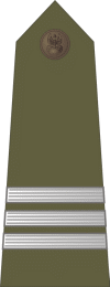 http://www.uniforminsignia.net/_p/poland-army-2004_04.gif