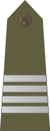 http://www.uniforminsignia.net/_p/poland-army-2004_05.gif