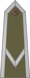 http://www.uniforminsignia.net/_p/poland-army-2004_06.gif