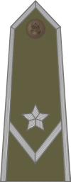 http://www.uniforminsignia.net/_p/poland-army-2004_08.gif