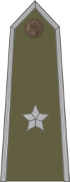 http://www.uniforminsignia.net/_p/poland-army-2004_09.gif