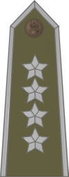 http://www.uniforminsignia.net/_p/poland-army-2004_11.gif