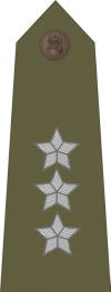 http://www.uniforminsignia.net/_p/poland-army-2004_13.gif