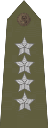 http://www.uniforminsignia.net/_p/poland-army-2004_14.gif