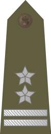 http://www.uniforminsignia.net/_p/poland-army-2004_16.gif