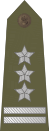 http://www.uniforminsignia.net/_p/poland-army-2004_17.gif