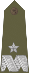 http://www.uniforminsignia.net/_p/poland-army-2004_18.gif