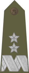 http://www.uniforminsignia.net/_p/poland-army-2004_19.gif
