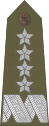 http://www.uniforminsignia.net/_p/poland-army-2004_21.gif